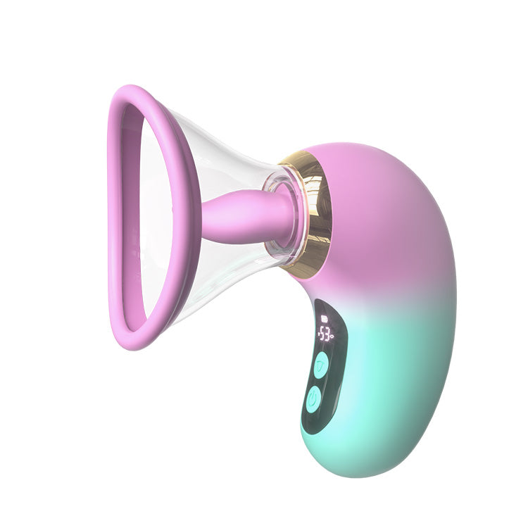 5-i-1 Vibrator med Sug, Slick och LCD-kontroll